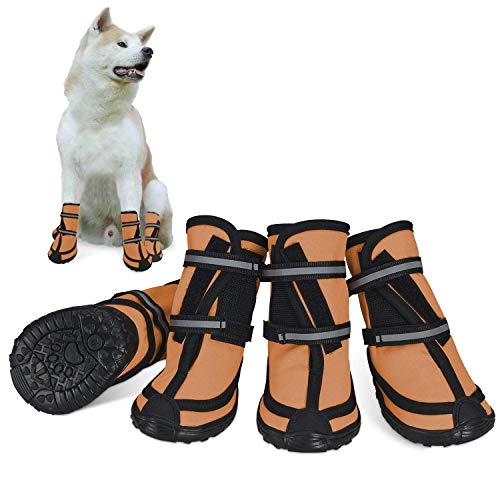 List of Top 10 Best dog boots for hiking in Detail