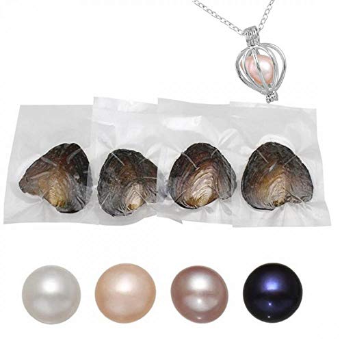 Freshwater Pearl Oyster Cultured Love Wish Round Pearls Various Shining Meaningful Color, Oysters with Pearls Inside with DIY Necklace Pearl Kit Gift for Women (7-8mm/4Pcs)