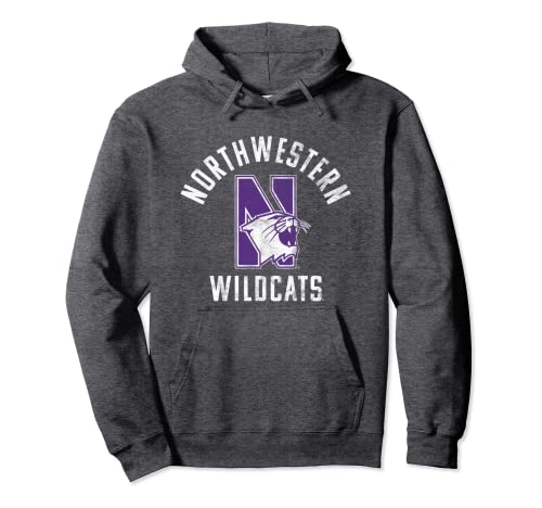 Northwestern University Wildcats Large Pullover Hoodie