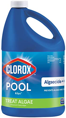 Clorox Pool&Spa 43128CLX 42128CLX Pool Algaecide, 128 Fl Oz (Pack of 1)