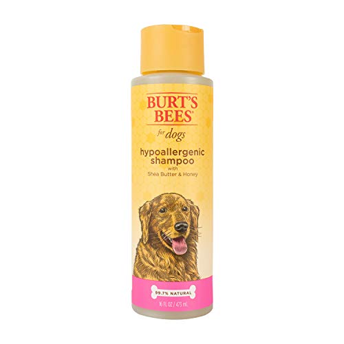 BURT'S BEES FOR PETS Natural Hypoallergenic Shampoo with Shea Butter and Honey for All Dogs and Puppies with Dry or Sensitive Skin | Made in the USA | 16 Ounces