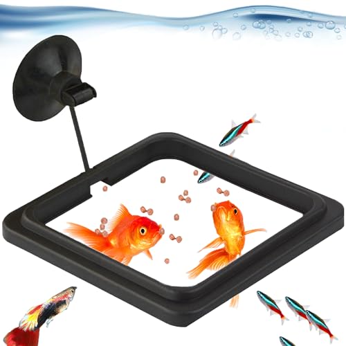 SunGrow Fish Food Feeding Ring, Stop Water Turbulence from Washing Food & Floating Plants into Filter, Suitable for Flakes & Floating Fish Pellets, for Goldfish, Guppy, Neon Tetra, Betta, 1 Piece