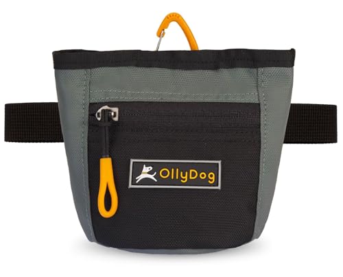 OllyDog Goodie Treat Bag, Dog Treat Pouch, Waist Belt Clip for Hands-Free Training, Magnetic Closure, Dog Training and Behavior Aids, Three Ways to Wear (Juniper)