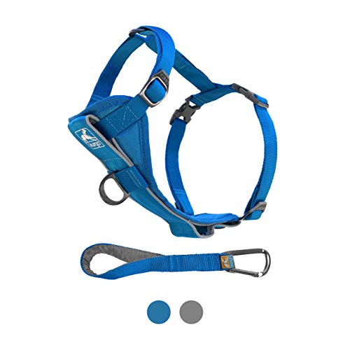 Kurgo Tru-Fit Smart Harness, Dog Harness, Pet Walking Harness, Quick Release Buckles, Front D-Ring for No-Pull Training, Includes Dog Seat Belt Tether (Blue, Medium)