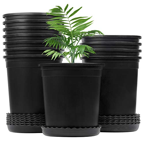 Mhonniwa 1 Gallon Nursery Pots for Plants Plastic Pots with Drainage Hole and Saucer for Indoor Outdoor Plants, Seedlings, Succulents and Cuttings, Black, 6 inch 12 Pack