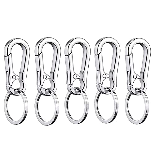 KINGFOREST 5PCS Metal Carabiner Keychain Key Clip Key Ring Key Chain Ring Holder Organizer for Car Key Finder