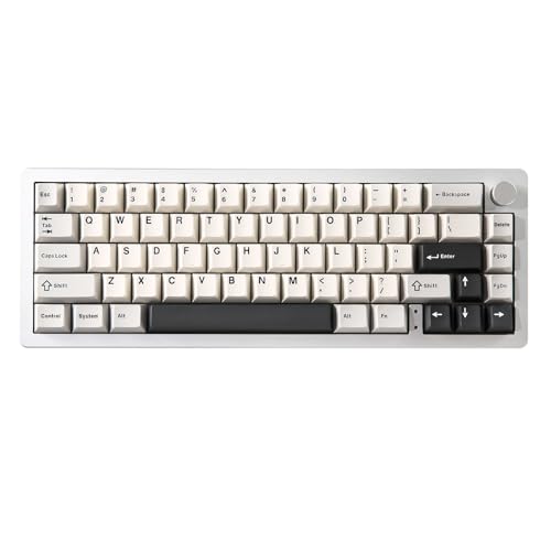 YUNZII AL66 Wireless Mechanical Keyboard,65% Knob Control Aluminum Gaming Keyboard BT/2.4G/Wired Hot Swappable Pre-lubed Switches, Gasket Mounted RGB Keyboard for Win/Mac(Milk Switch, Silver)