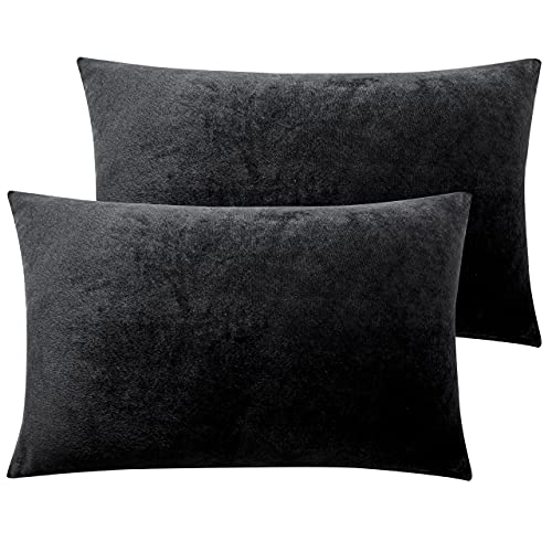 NTBAY 2 Pack Zippered Velvet Queen Pillowcases, Super Soft and Cozy Luxury Fuzzy Flannel Pillow Cases with Zipper, 20x30 Inches, Black