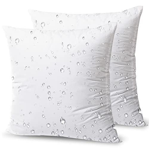 Phantoscope Outdoor Pillow Inserts - Square Form Water Resistant Microfiber Throw Pillows, Made in USA Couch Sham Cushion Stuffer 20 x 20 inches, 2 Count (Pack of 1)