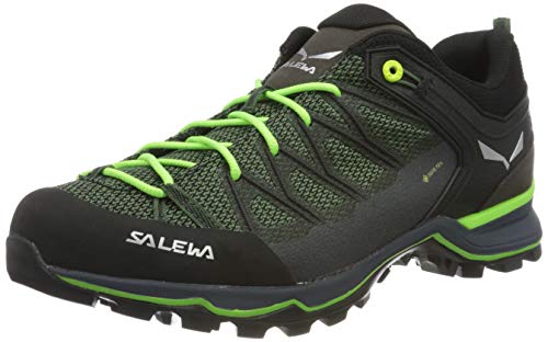 Salewa MTN Trainer Lite GTX Hiking Shoes - Men's Myrtle/Ombre Blue 11