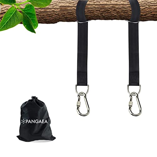 PANGAEA Tree Swing Hanging Straps Kit, 5FT/10FT/20FT/30FT, Heavy Duty Holds 2200LBS Extra Long, with Safer Lock Snap Carabiners & Carry Pouch Bag (10 FT)