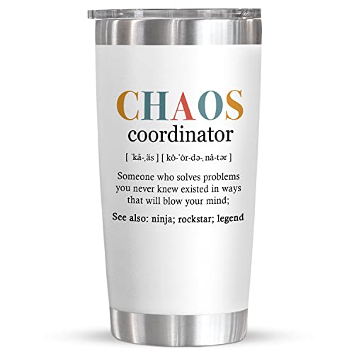 Coworker Gifts For Women, Gifts for Boss, Assistant, Teacher Appreciation, Inspiration Work Gifts For Coworkers, Christmas, Valentines Day, Birthday, Thank You Gifts, 20 Oz Stainless Steel Tumbler