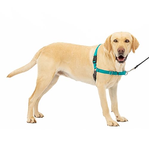 PetSafe Easy Walk No-Pull Dog Harness - The Ultimate to Help Stop Pulling Take Control & Teach Better Leash Manners Helps Prevent Pets on Walks Large, Teal