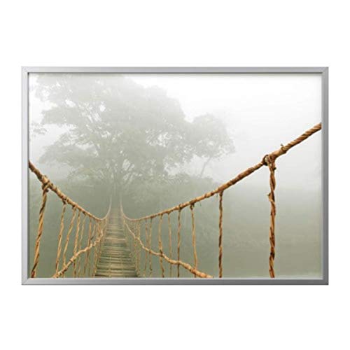 IKEA Bjorksta Picture and Frame Jungle Journey Aluminum Color 091.733.3601 Size 55x39 ¼ '