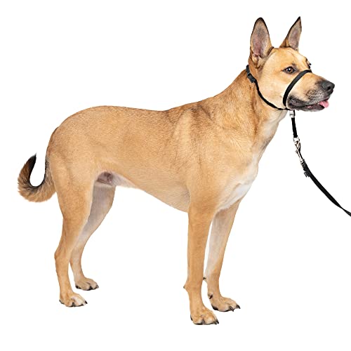 PetSafe Gentle Leader No-Pull Dog Headcollar - The Ultimate Solution to Pulling - Redirects Your Dog's Pulling For Easier Walks - Helps You Regain Control - Medium , Black