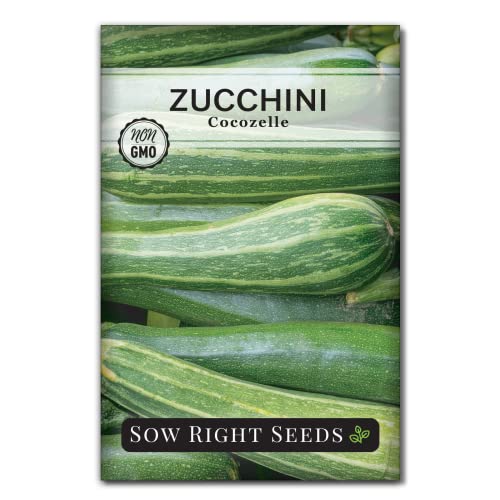 Sow Right Seeds - Cocozelle Zucchini Seeds for Planting - Non-GMO Heirloom Packet with Instructions to Plant and Grow an Outdoor Home Vegetable Garden - Vigorous Productive Striped Squash (1)