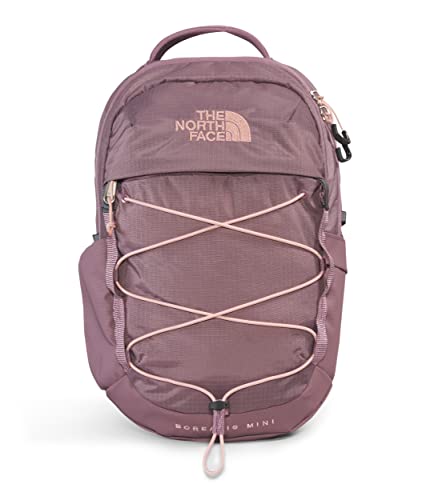 THE NORTH FACE 10L Mini Borealis Commuter Laptop Backpack, Fawn Grey/Pink Moss, One Size