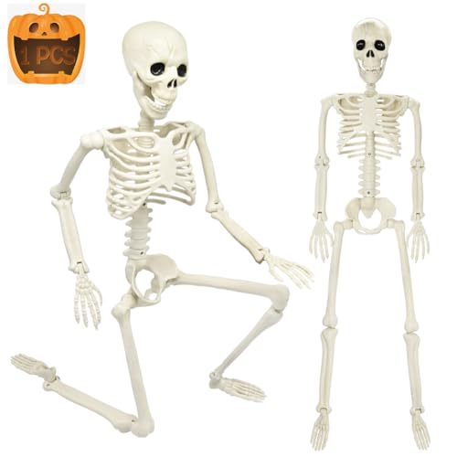 3FT Halloween Skeleton, 36' Full Body Halloween Skeleton with Movable Posable Joints, Plastic Realistic Human Bones Prop for Halloween Graveyard Yard Lawn Outdoor Haunted House Decorations