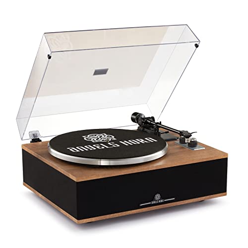 ANGELS HORN Vinyl Record Player, Bluetooth Turntable with Built in Speakers Phono Preamp, High Fidelity Turntables for Vinyl Records with Magnetic Cartridge AT-3600L, Belt Drive 2-Speed