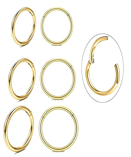 Unisex Dainty Tiny 18k Real Gold Plating Cartilage Huggie Hoop Earrings, 16G Surgical Steel Small Endless Hinged Hoops Earring for Earlobe Cartilage Helix Rook Daith Conch Nose Lip Body Piercing