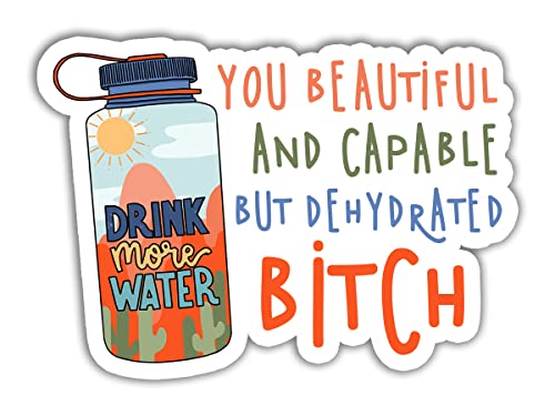3 Pcs - Drink Some Water You Beautiful and Capable But Dehydrated Bitch Sticker Drink Some Water Sticker for Waterbottles Laptops Notebooks Cell Phones Bumpers Windows Locker A5