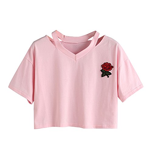 BCDshop Women Teen Girls Embroidery Rose Crop Top Tees Short Sleeve V Neck T-Shirt (S, Pink)