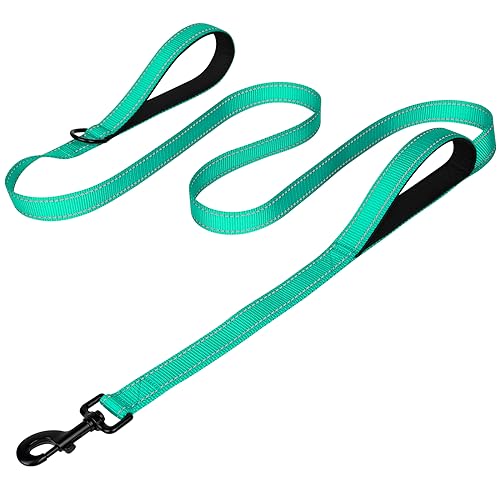 Joytale Dog Leash Heavy Duty for Large Dogs That Pull, Double Handle Dog Leash for Traffic Control, Double-Sided Reflective Leash for Night Safety, Dog Leash for Large Medium Dogs, 6FT, Teal
