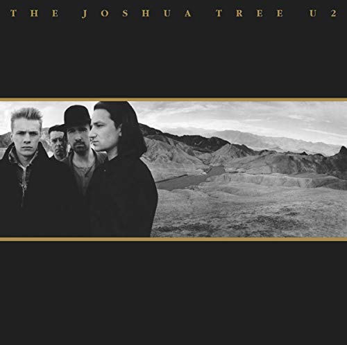 The Joshua Tree[2 LP]