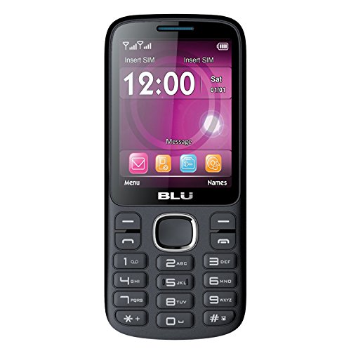 BLU Jenny TV 2.8 T276T Unlocked GSM Dual-SIM Cell Phone w/ 1.3MP Camera - Unlocked Cell Phones - Retail Packaging - (Black Blue)