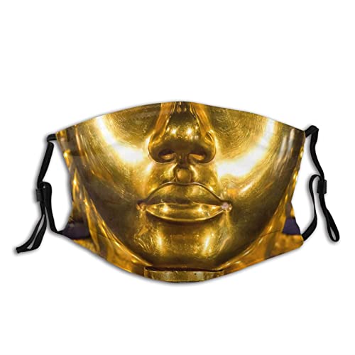 Qurdtt Egypt Pharaoh Tutankhamun Gold Face Mask,Ancient Egypt King Tut Masks Washable Reusable Balaclavas With Filters For Adults