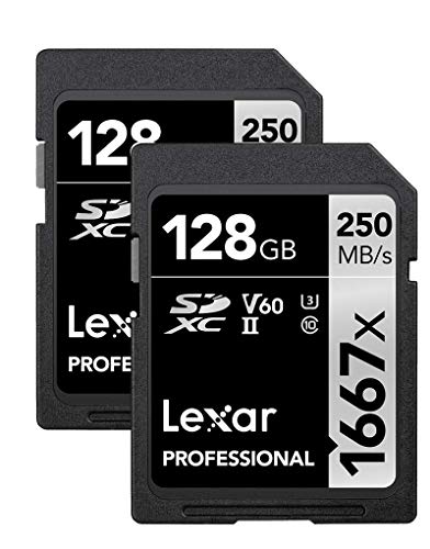 Lexar 128GB (2-Pack) Professional 1667x SDXC Memory Cards, UHS-II, C10, U3, V60, Full-HD & 4K Video, Up To 250MB/s Read, for Professional Photographer, Videographer, Enthusiast (LSD128CBNA16672)