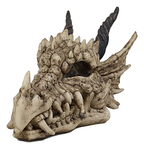 Ebros Gift Jurassic Beowulf Elder Dragon Head Skull Realistic Fossil Statue 7.75' Long Miniature Figurine Might and Magic for Medieval Fans Game of Thrones Lovers Dungeons and Dragons Fantasy Decor