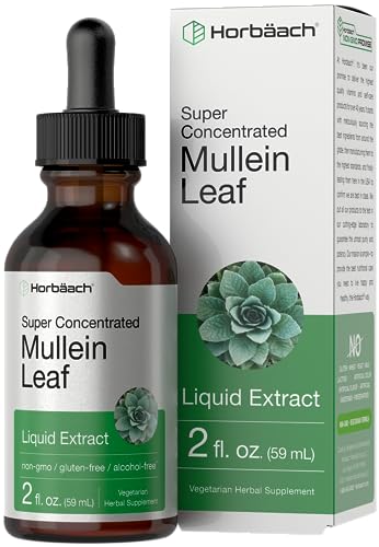 Horbaach Mullein Leaf Tincture Drops | 2 fl oz | Alcohol Free Liquid Extract | Vegetarian, Non-GMO & Gluten Free Herbal Supplement