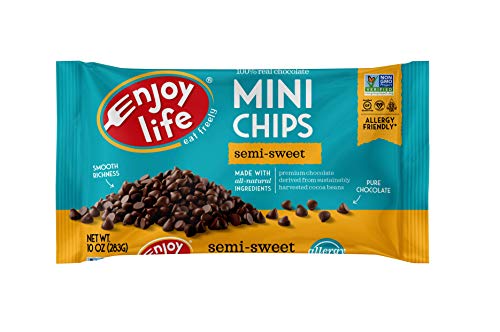 Enjoy Life Semi Sweet Chocolate Mini Chips, 10 oz