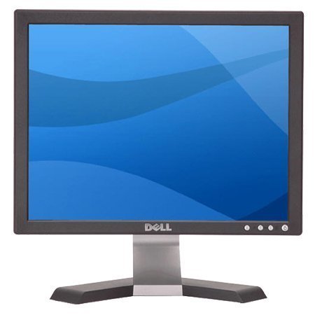 Dell E176FP 17' Flat Panel Monitor (Black)