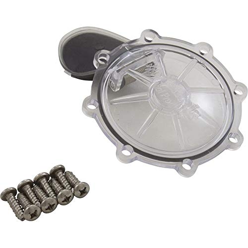 Pentair 263042Z 2-Inch 2-Way CPVC Check Valve Replacement Kit Diverter Pool and Spa Valve
