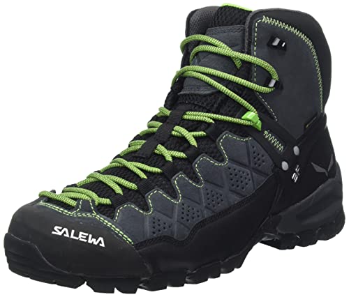 Salewa Men's MS ALP Trainer MID GTX Walking Shoe, Onyx Pale Frog, 10