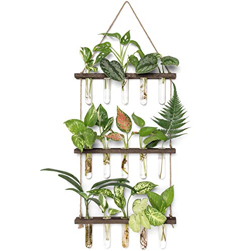 Mkono Plant Propagation Tubes, 3 Tiered Wall Hanging Terrarium with Wooden Stand Mini Test Tube Flower Vase Glass Planter Stations for Hydroponic Cutting Home Garden Office Decor Plant Lover Gift