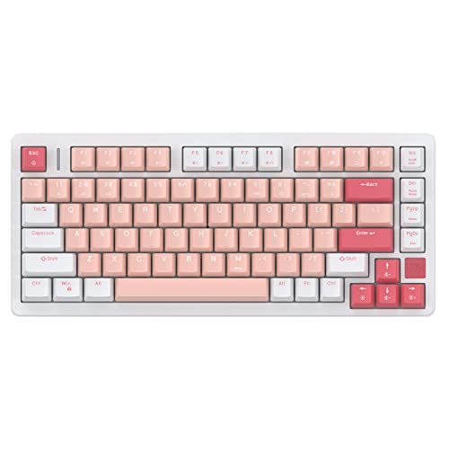 IROK FE75Pro Hot Swappable Mechanical Keyboard, Wireless TKL 75% RGB Customizable Backlit Gaming Keyboard, Bluetooth/2.4G/Wired for Windows PC Gamers- White/Red