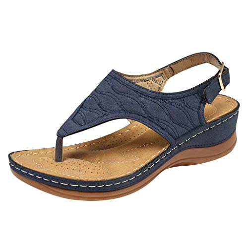 Shengsospp Women's Platform Thong Sandals With Embroidery Thick Slide Cushion Reduces Stress on Feet,Joints & Back Post-Exercise Toes Blue_03, 9