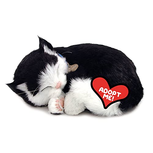 Original Petzzz Black and White Shorthair Kitten, Realistic, Lifelike Stuffed Interactive Pet Toy, Breathing Pets, Companion Pet Cat with 100% Handcrafted Synthetic Fur – Perfect Petzzz