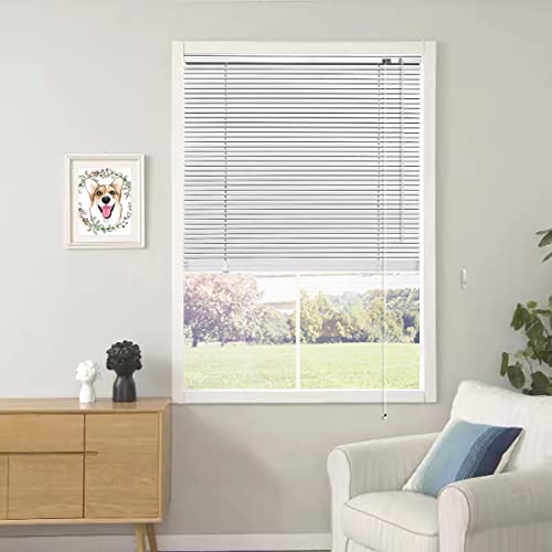 YIIBAII Mini Blinds for 24' W x 64' H Windows 1' Aluminum Horizontal Venetian Blinds Darkening with Rope and Pole can Mounted Inside or Outside
