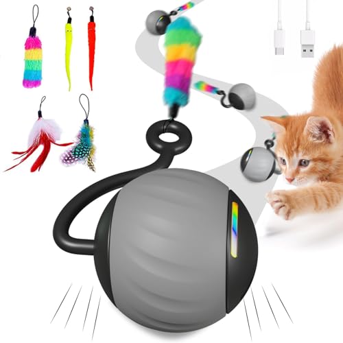 WAKHJAKT Interactive Cat Toys for Indoor Cats, DIY 5 in 1 Automatic Moving Cat Ball Toys/Puppies Toys with LED Rainbow Lights, Smart Sounds&Touch Control Cat Toys,USB Rechargeable (Grey)