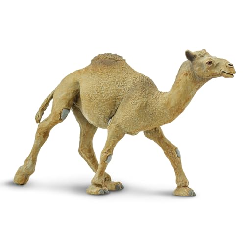 Safari Ltd. Dromedary Camel Figurine - Lifelike, Hand-Painted 5.75' Model Figure - Educational Toy for Boys, Girls & Kids Ages 3+