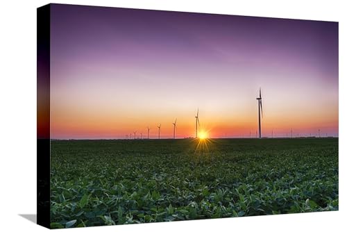 AllPosters Stretched Canvas Print USA, Indiana. Soybean Field and Wind Farm at Sundown by Rona Schwarz, 18x12