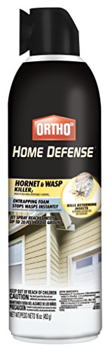 Ortho Home Defense Hornet & Wasp Killer7 For Insects