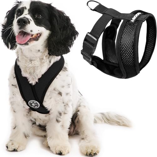 Gooby Comfort X Head In Harness - Black, Medium - No Pull Small Dog Harness Patented Choke-Free X Frame - Perfect on the Go Dog Harness for Medium Dogs No Pull or Small Dogs for Indoor and Outdoor Use