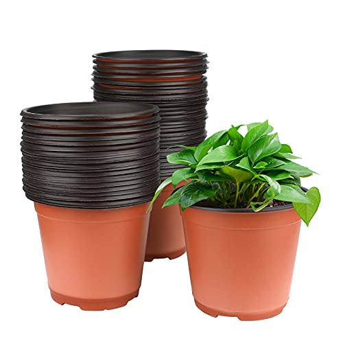 KINGLAKE 50 Pcs 6' Plastic Plants Nursery Seedlings Pot/Pots Flower Plant Container Seed Starting Pots for Plant