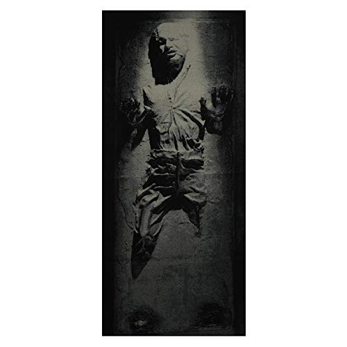 STAR WARS Han Solo in Carbonite Small Area Rug | 32 x 72 Inches