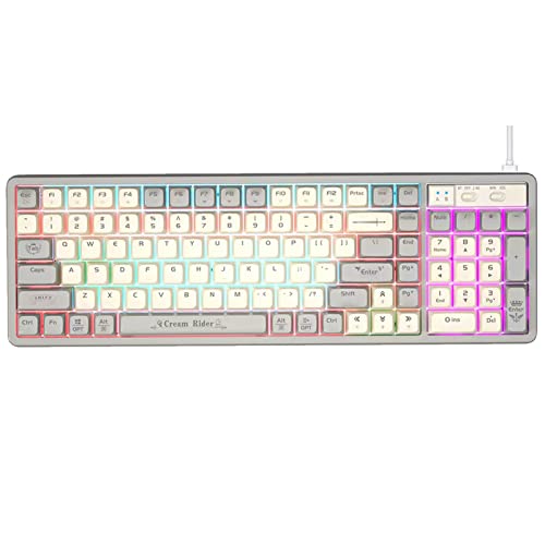 Lomiluskr GK102 Hot Swap Programmable Mechanical Wired Keyboard with Multicolor Backlit, 102 Anti-Ghosting Keys, 2 Colors Keycap, Detachable Cable (Gray&White, Red Switch)